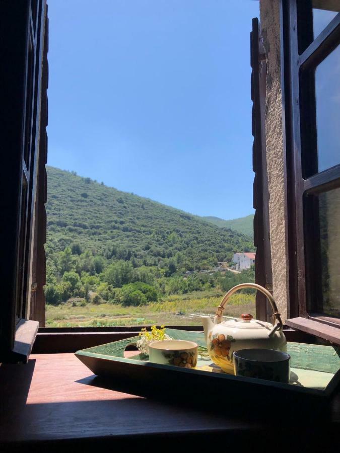 Holiday Home Villa Kastel Zrnovo Exteriör bild